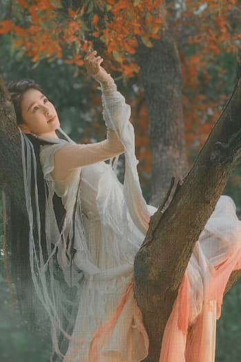 Đỉnh Núi Nhà Tôi Thông Niên Đại