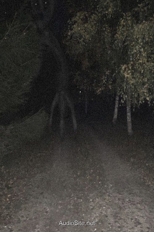 Biệt Thự Hồi Sinh: Bóng Ma Halloween