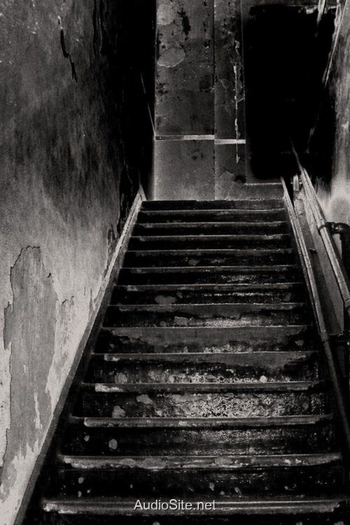 Giếng Máu: Lời Nguyền Cây Đa Giếng Máu: Lời Nguyền Cây Đa