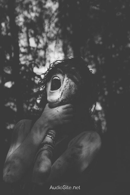 Mai Rùa Ám Chú: Định Mệnh Đen Tối Mai Rùa Ám Chú: Định Mệnh Đen Tối
