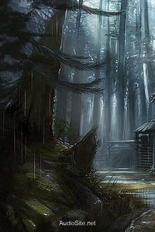 Ngôi Nhà Elm Street: Lời Nguyền California Ngôi Nhà Elm Street: Lời Nguyền California